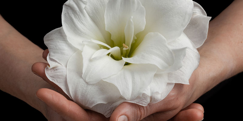 pgbanner-bereavement Devenish Medical Practice Bereavement